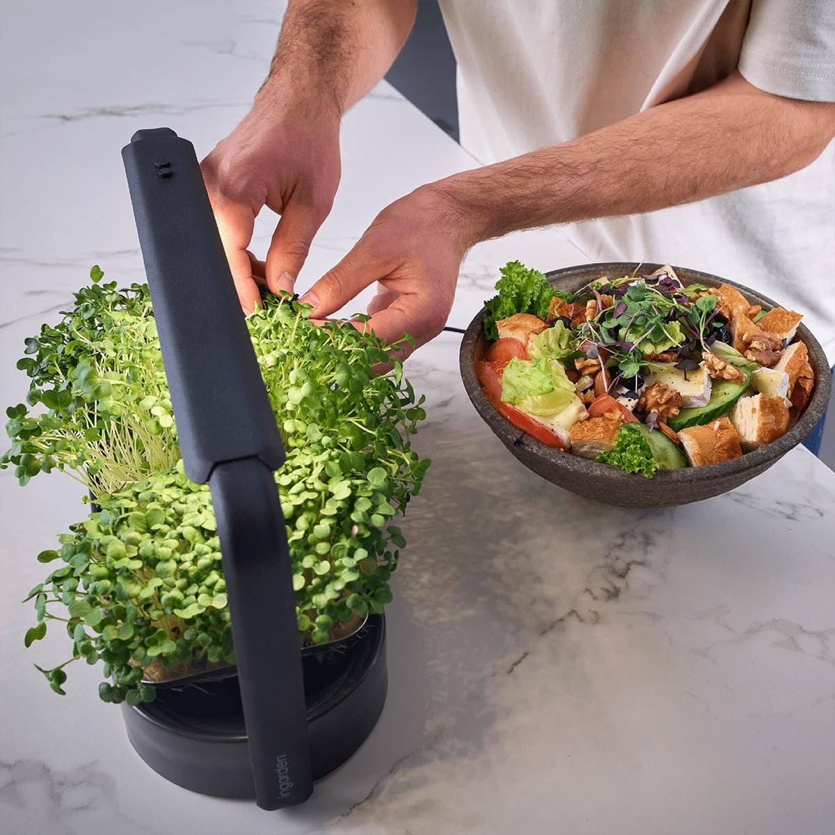 Smart Garden zestaw startowy – Indoor Garden z diodami LED do mikrozielonych – w zestawie 12 ekologicznych nasion – miska z ceramiki w kolorze wulkanicznej czerni – skandynawskie wzornictwo