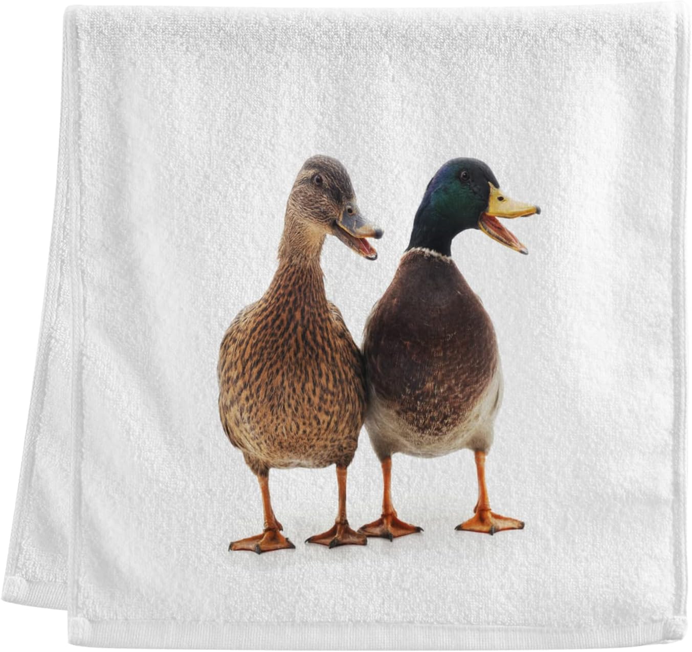 IIASOL White Duck Kitchen Towels Set of 4 Absorbent