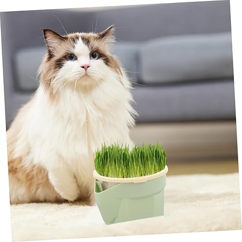 Miniatura 7 de Mipcase Plantas de interior Gato Hierba Taza Hidropónica Plantas Hidropónicas Plantas Hidropónicas Gato Plantador Plantador Mascotas Hierba para