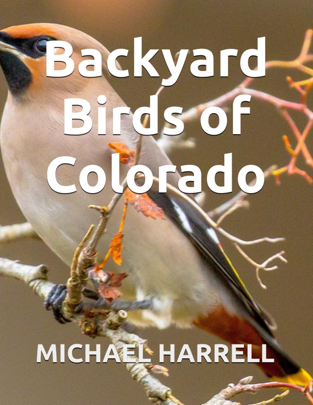 Backyard Birds of Colorado (Wildlife of North America and other educational books.)      Paperback – February 1, 2025