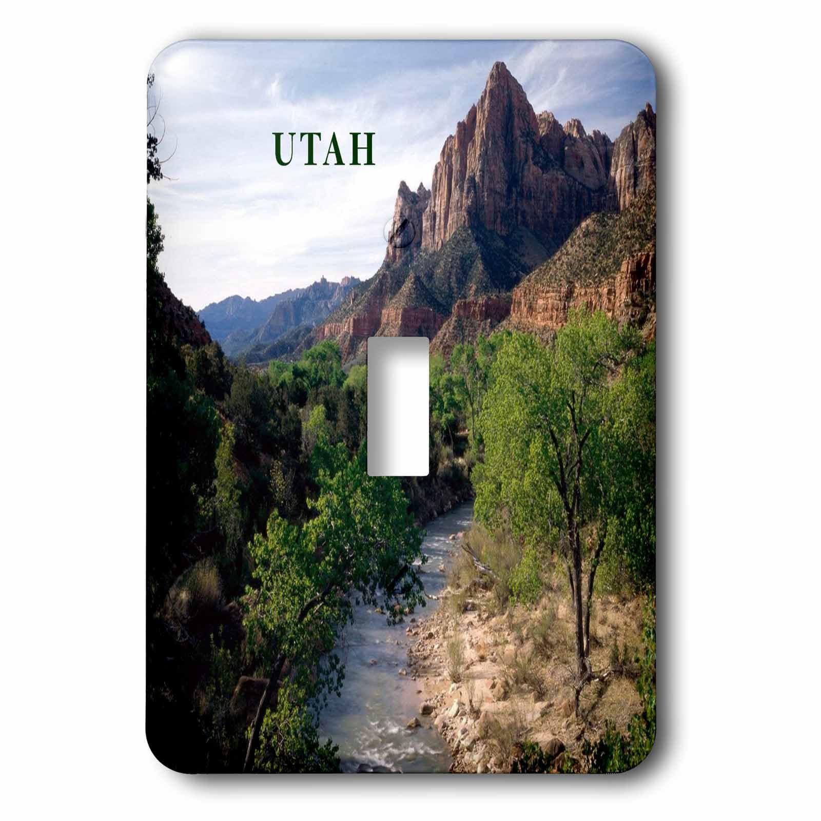 Interrupteur à bascule simple Utahs Zion National Park pour remplacer une plaque murale usée