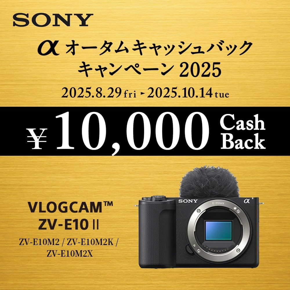 Amazon | SONY(ソニー) Vlog用カメラ レンズ交換式VLOGCAM APS-C