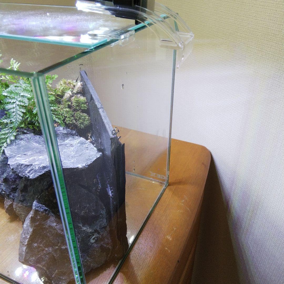受注生産】滝の流れるアクアテラリウムイモリウム苔水槽苔アート 完成品滝