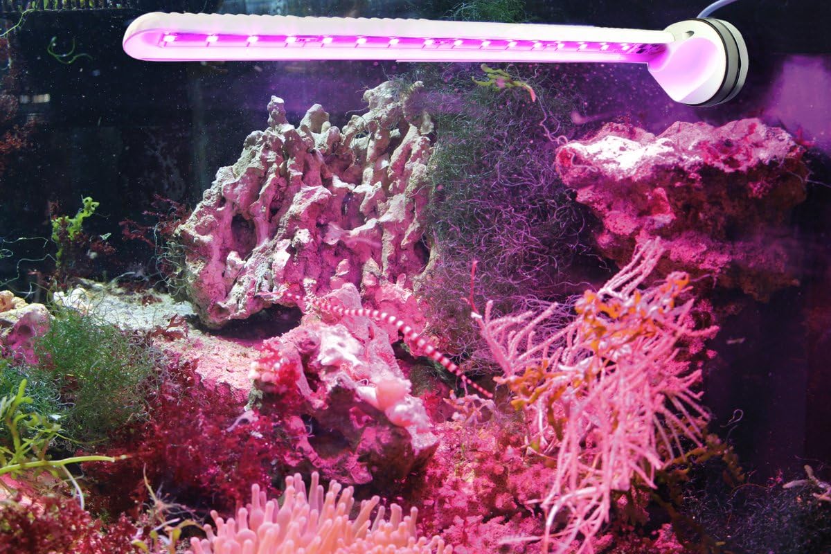 Tunze LED eco chic refugium I LED-Leuchte für Algen & Pflanzenwachstum I Aquarienleuchte für Süß- & Meerwasser I inkl. Magnet Holder I Optimal als Unterwasser Pflanzenlicht & Beleuchtung für Becken