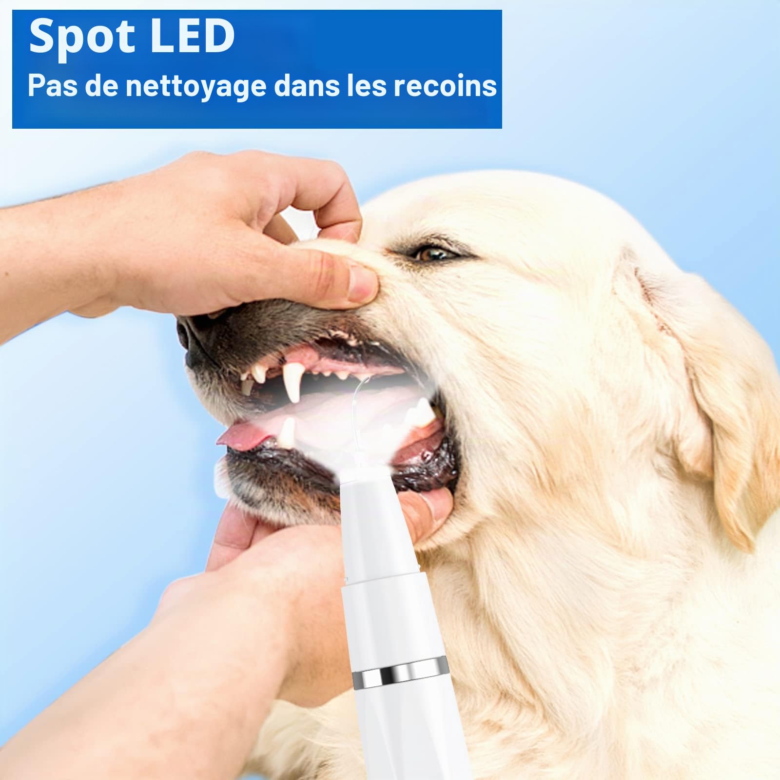 Lot de 8 brosses à dents à ultrasons pour chiens et chats - Pour nettoyer les dents des chiens et chats (Blanc)