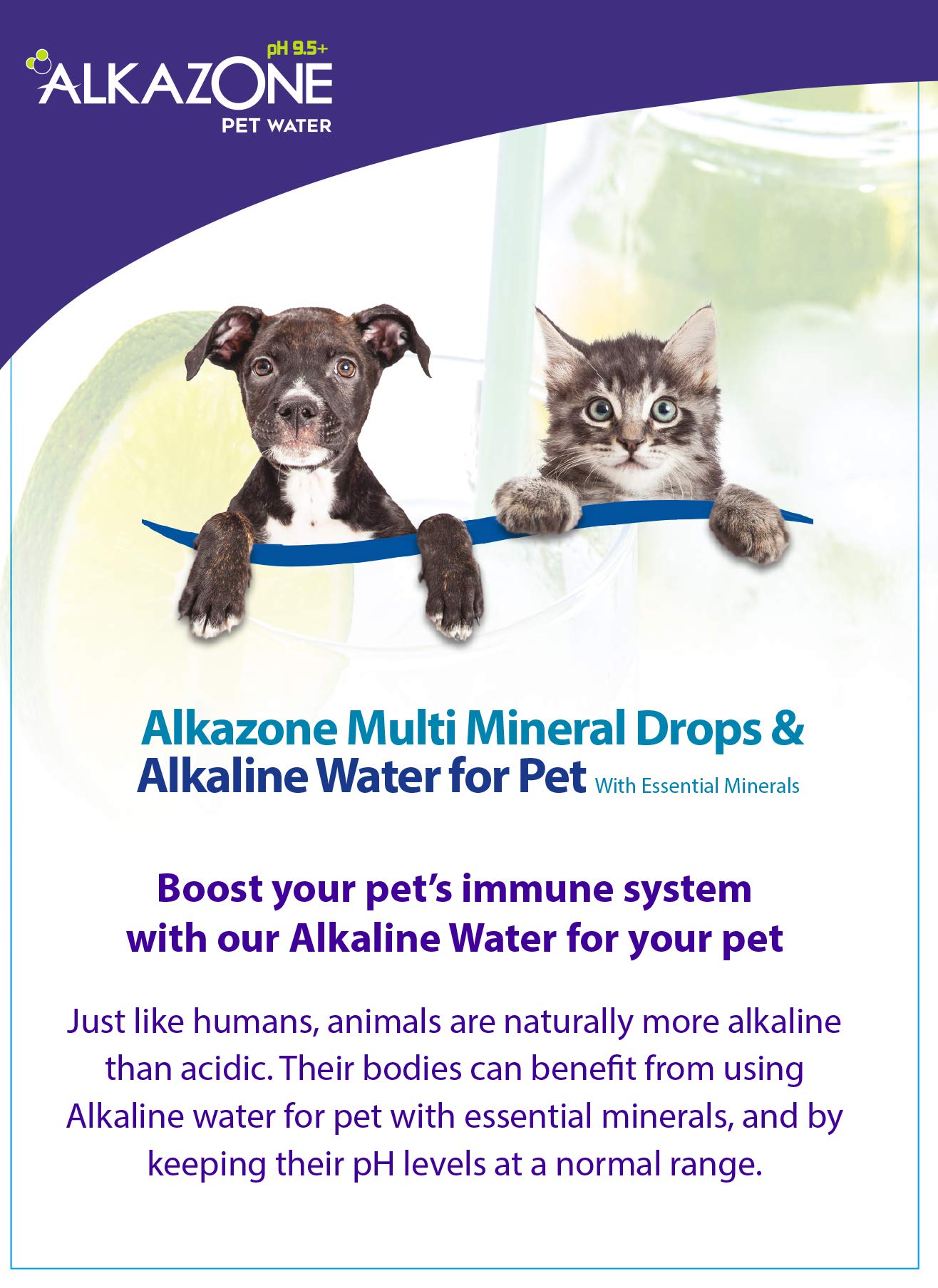 Will Alkaline Water Help Dogs