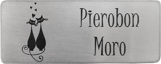 GUIZZO Creart - Customized License Plate with Name, Street and/or Family in Stainless Steel, Custom Made in Italy, Customized Entrance Door Sign Multi-purpose Changable, 10 x 4 H cm