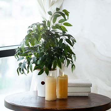 6PCS Artificial Greenery Stems 25IN Artificial Ruscus Greenery Foliage Ornaments for Living Room Artificial Leaves for for Home Decor & Kitchen Decor & Wedding Bouquet