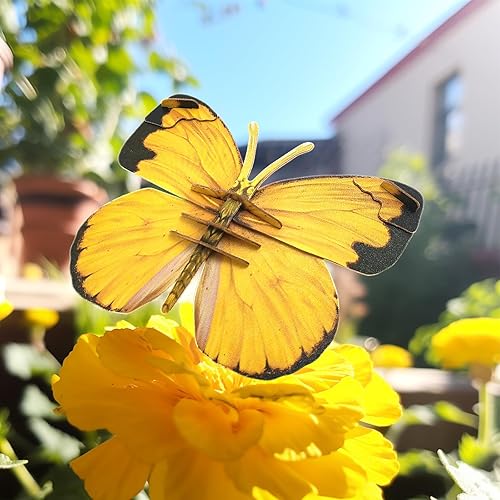 Miniatura 2 de MAKEBUG Juguetes para ansiedad, rompecabezas de papel 3D ecológicos para actividades educativas STEM y aprendizaje temprano, juguetes sensoriales