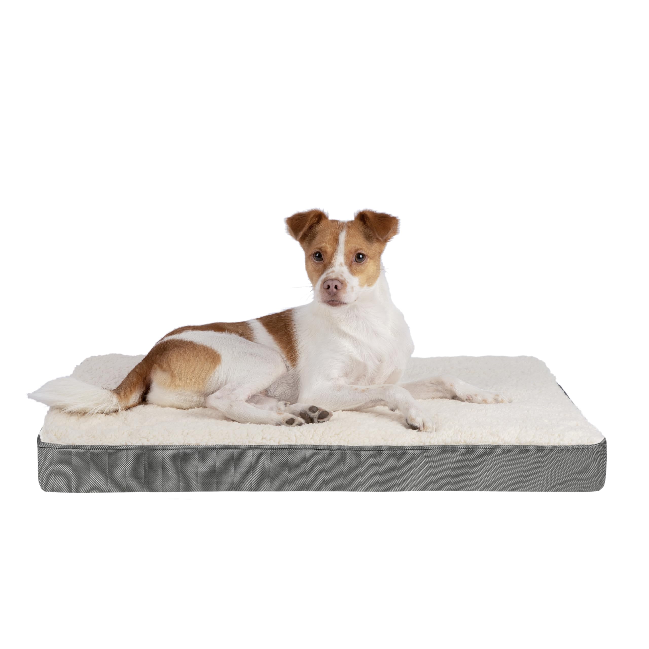 Best Pet Supplies Soft Plush Cute Indoor Dog Bed for Small, Medium, and Large Breeds - Gray, 41x29x4