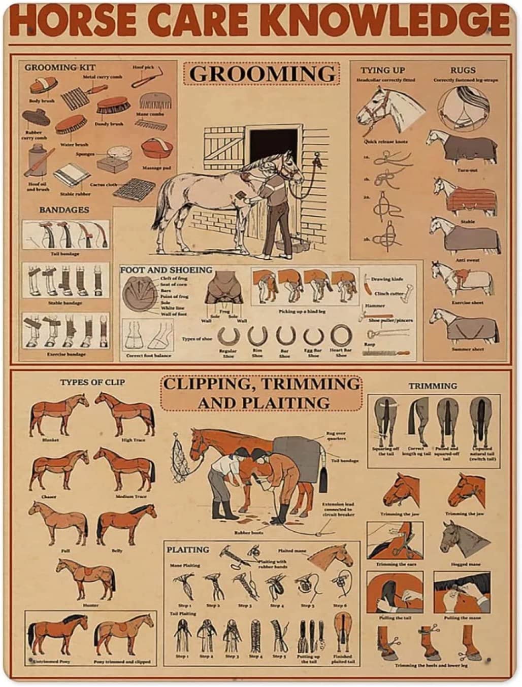 Fun Horse Care Knowledge Metal Tin Sign Vintage Family Bathroom Toilet Bar Cafe Wall Decoration Poster Painting 12x16 Inches