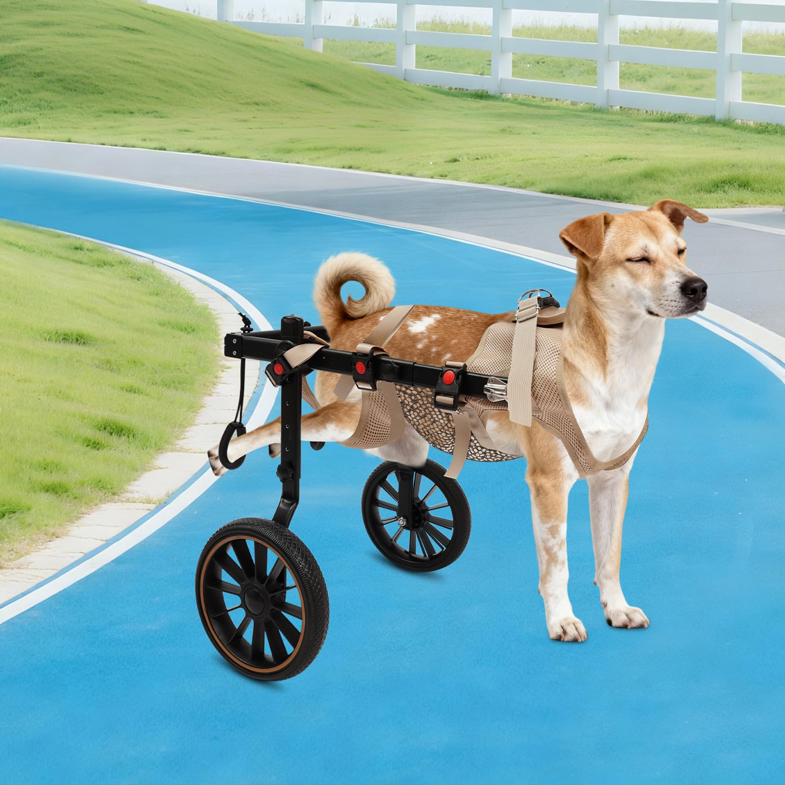 Harnais De Levage Chien Arrière Aide Marche Animaux Handicapés 65Kg, Chariot Rééducation Pattes Arrière Aluminium, Réglable 81-94Cm Fauteuils Roulants Deux Roues Pour Chiens Pattes Arrière