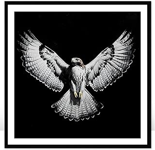 Moonow7 Striking Framed Hawk Poster, 12x12 Inch Black and White Bird of ...