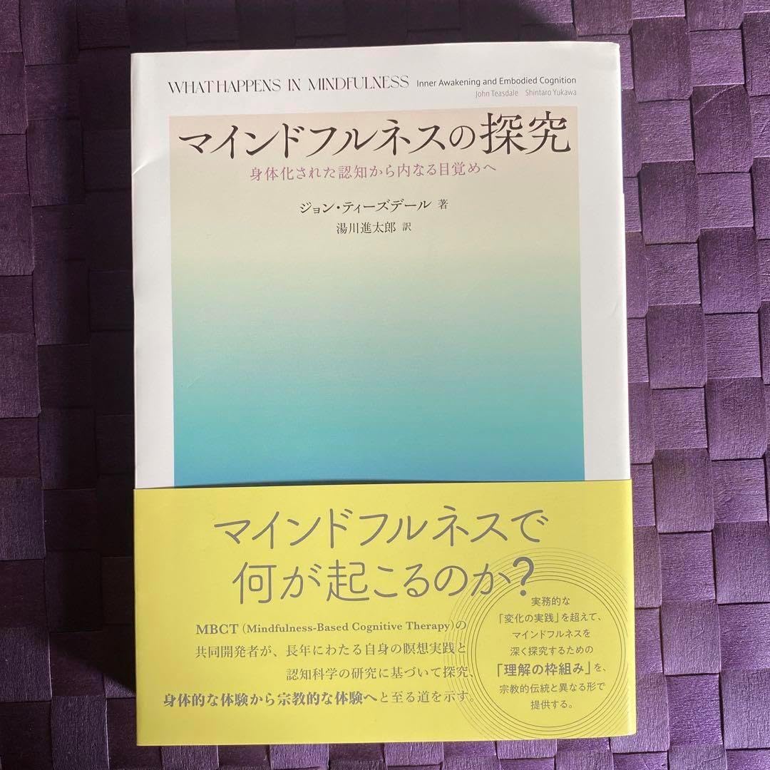 駿台の最新版中野先生の現代文読解の応用講義カラー板書フルセット　鉄緑会　河合塾 駿台の最新版中野先生による現代文読解の応用講義フルセット 鉄緑会