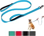 Laisse pour chien pour chiens moyens à grands avec deux poignées rembourrées 5 pi/6 pi, laisse à double poignée, laisse d'entraînement réfléchissante, laisses de circulation durables (5 pi, Rouge)