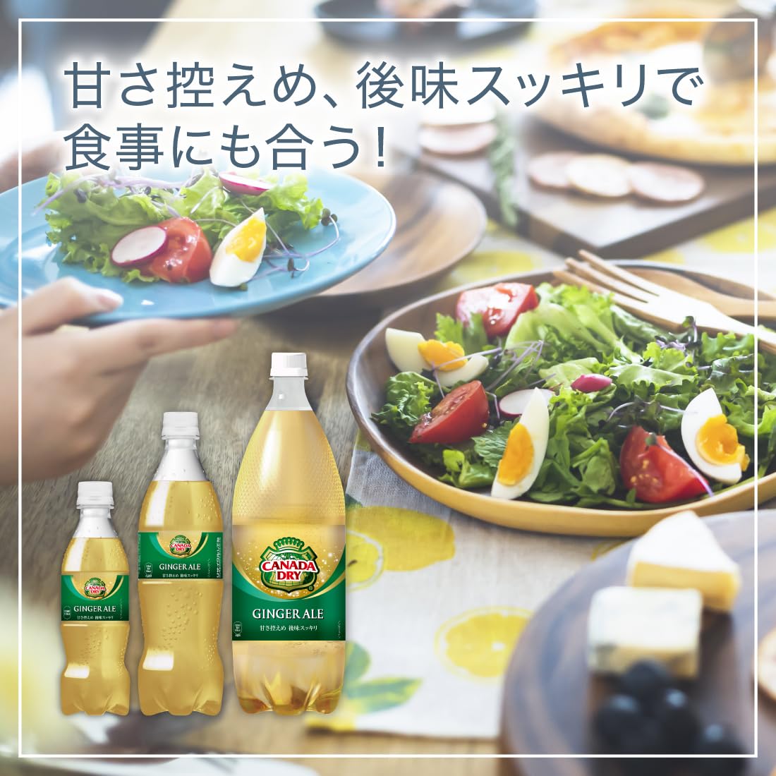 Amazon.co.jp: カナダドライ(CANADA DRY) ジンジャエール 500ml PET