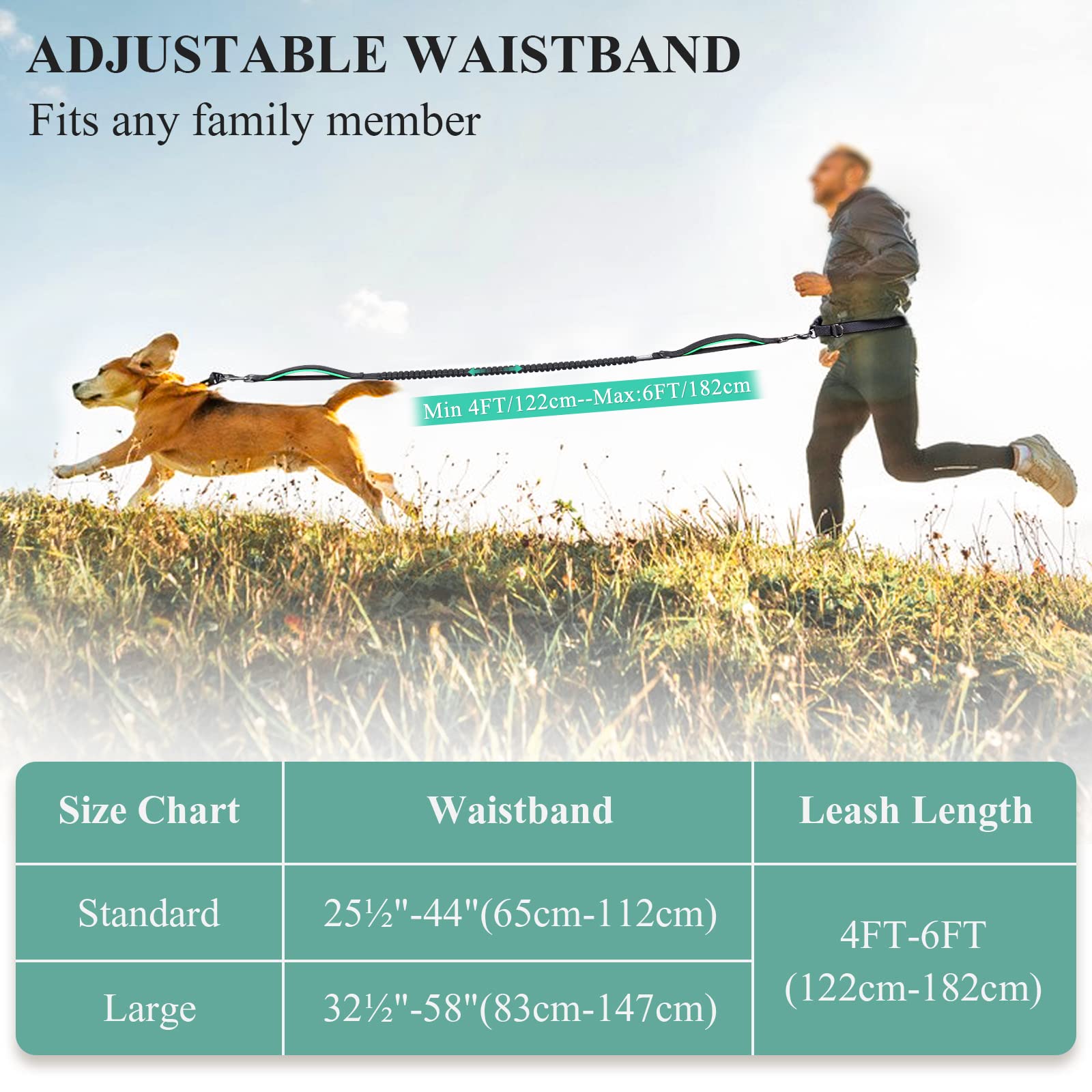 VIVAGLORY Correa para Perro sin Manos, Correa de Cintura con Bungee Absorbente de Choques para Perros Medianos y Grandes, Correa Reflectante Ajustable para Correr con Asa Acolchada, Negra-Turquesa