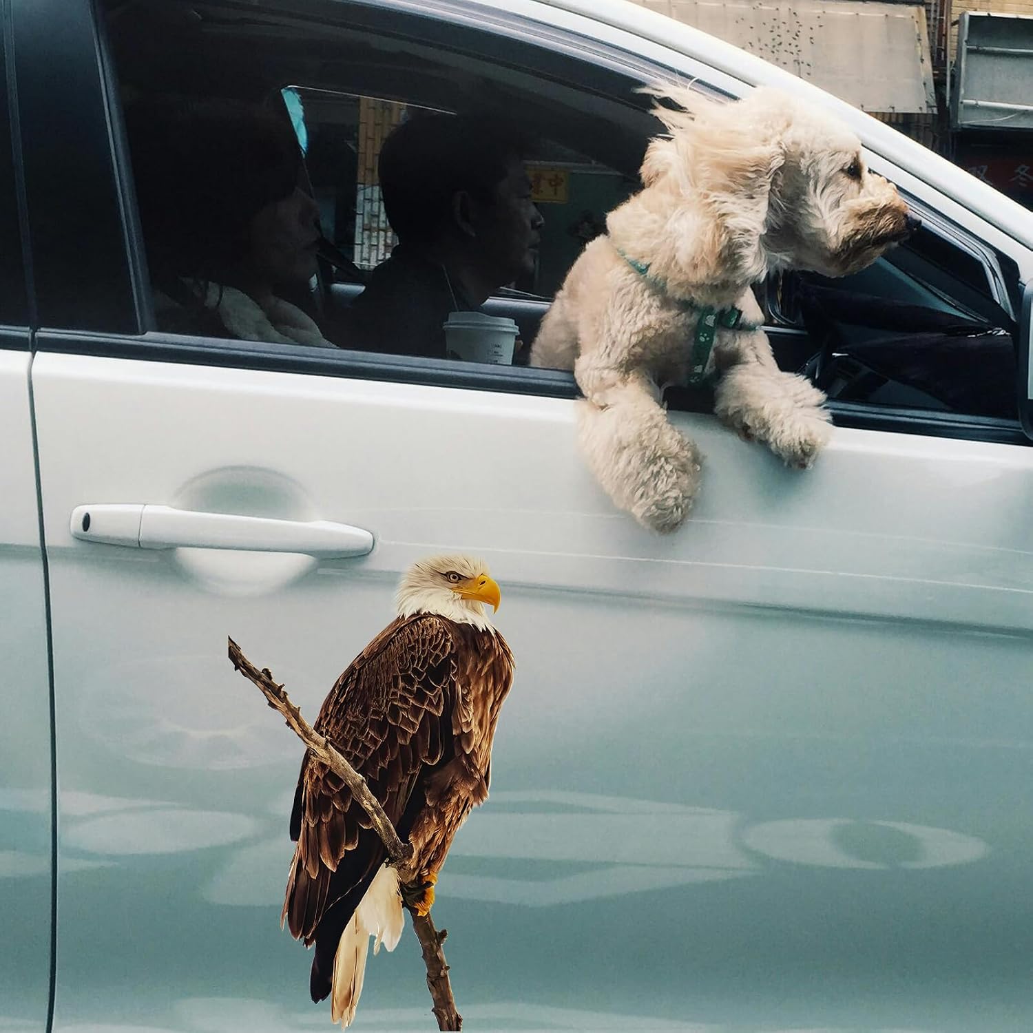 2-Piece 3D Realistic Eagle Sticker Set - Large Size 20x20cm & 20x30cm Perched Eagle and Eagle Head Stickers, Suitable for Cars, Laptops, Walls, Bathrooms | Waterproof PVC Material
