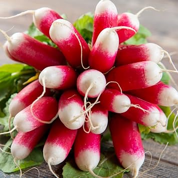 PREMIER SEEDS DIRECT - Radish - French Breakfast 2-10 Grams