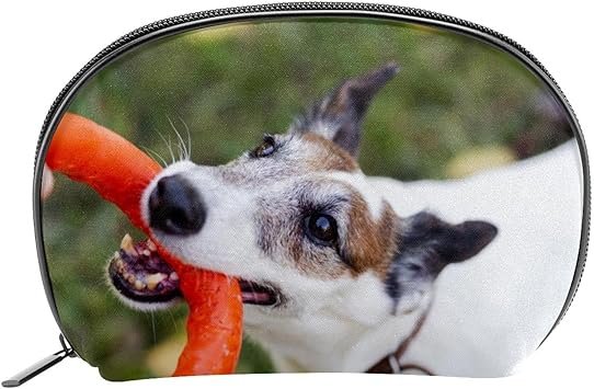 Amazon Co Jp おもちゃで公園で遊ぶ犬 コスメティックバッグメイクアップバッグスモールメイクアップポーチトラベルトイレタリーオーガナイザージッパー付き女性用女の子柔らかくて丈夫 ビューティー