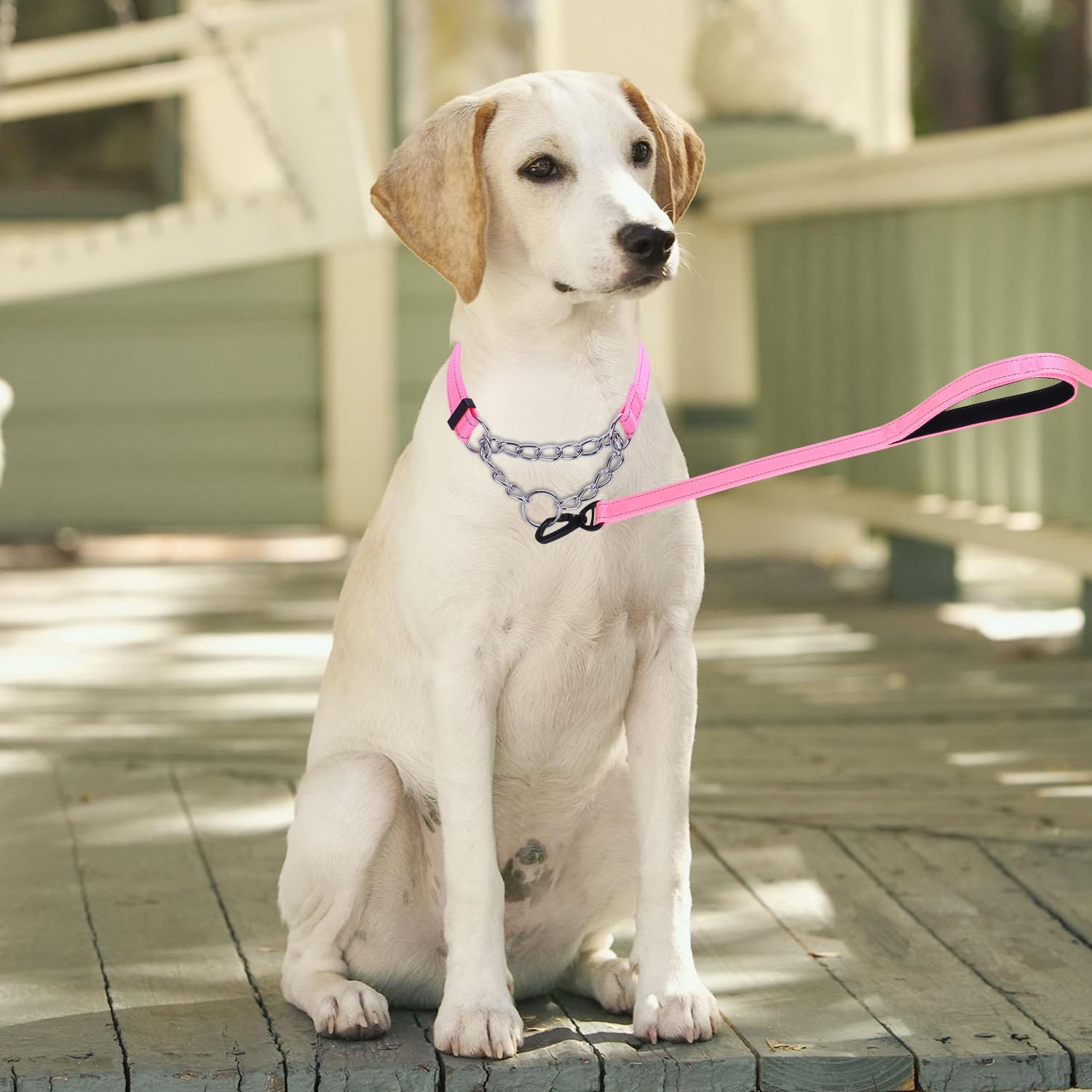 haoyueer Martingale Dog Collar, Stainless Steel Chain, Martingale Collar with Reflective - Image 2