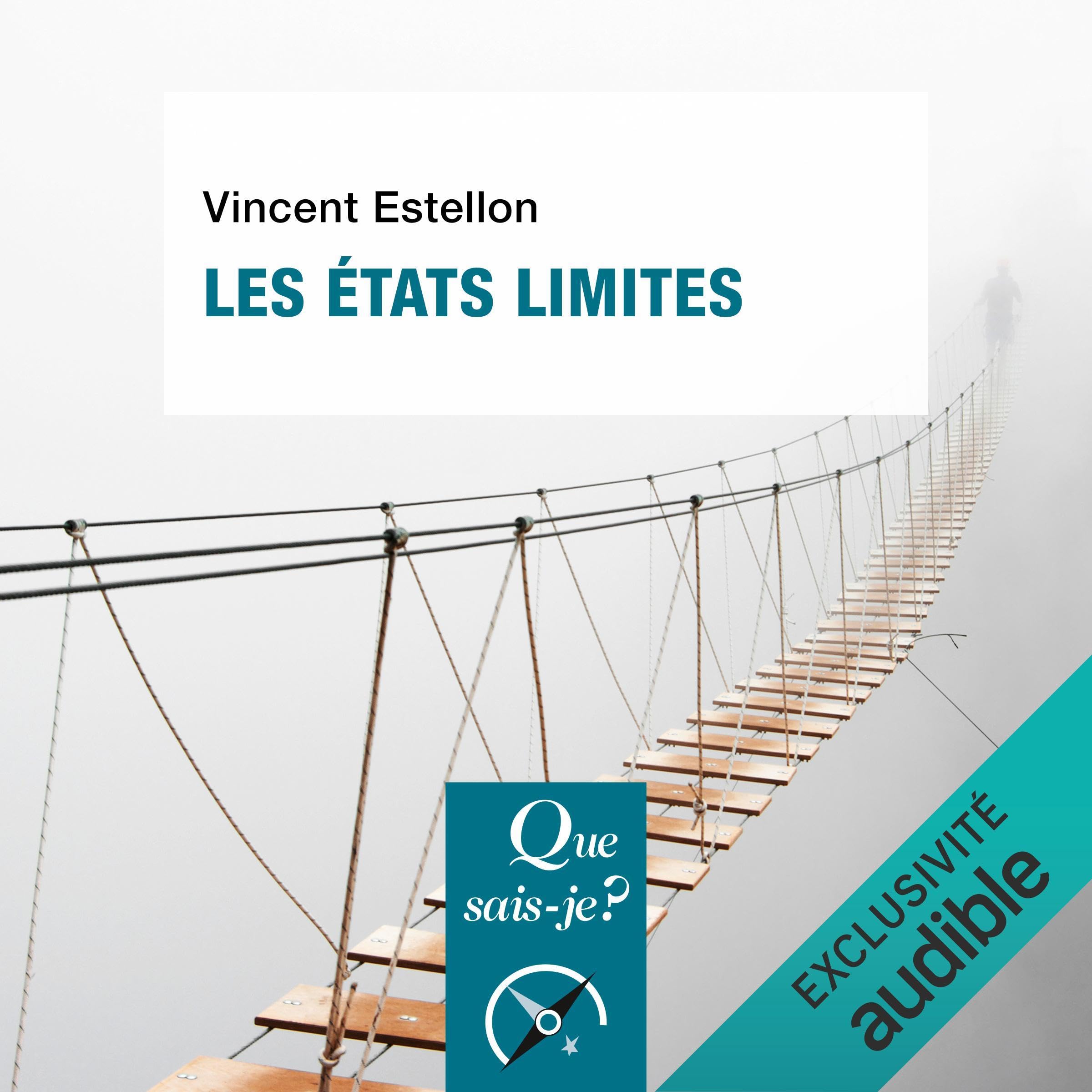 Cover art for Les états limites