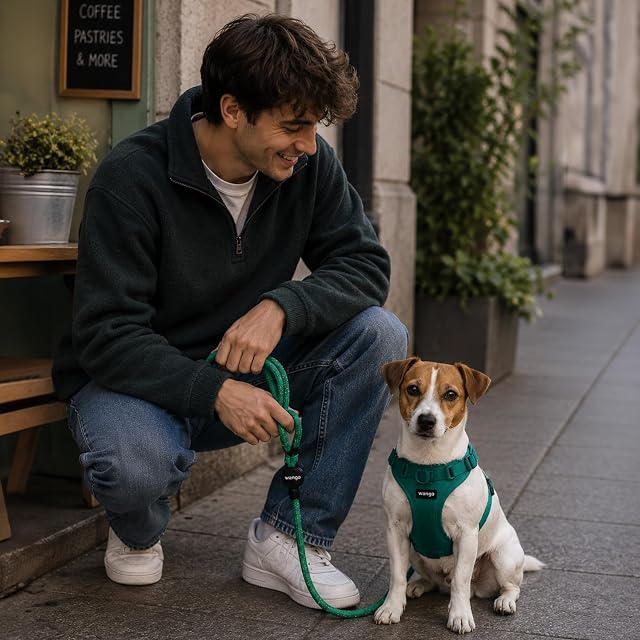 Foto 2 de 3 de WANGO Arnés Body Tipo H Ajustable para Perros Verde S, Acolchado