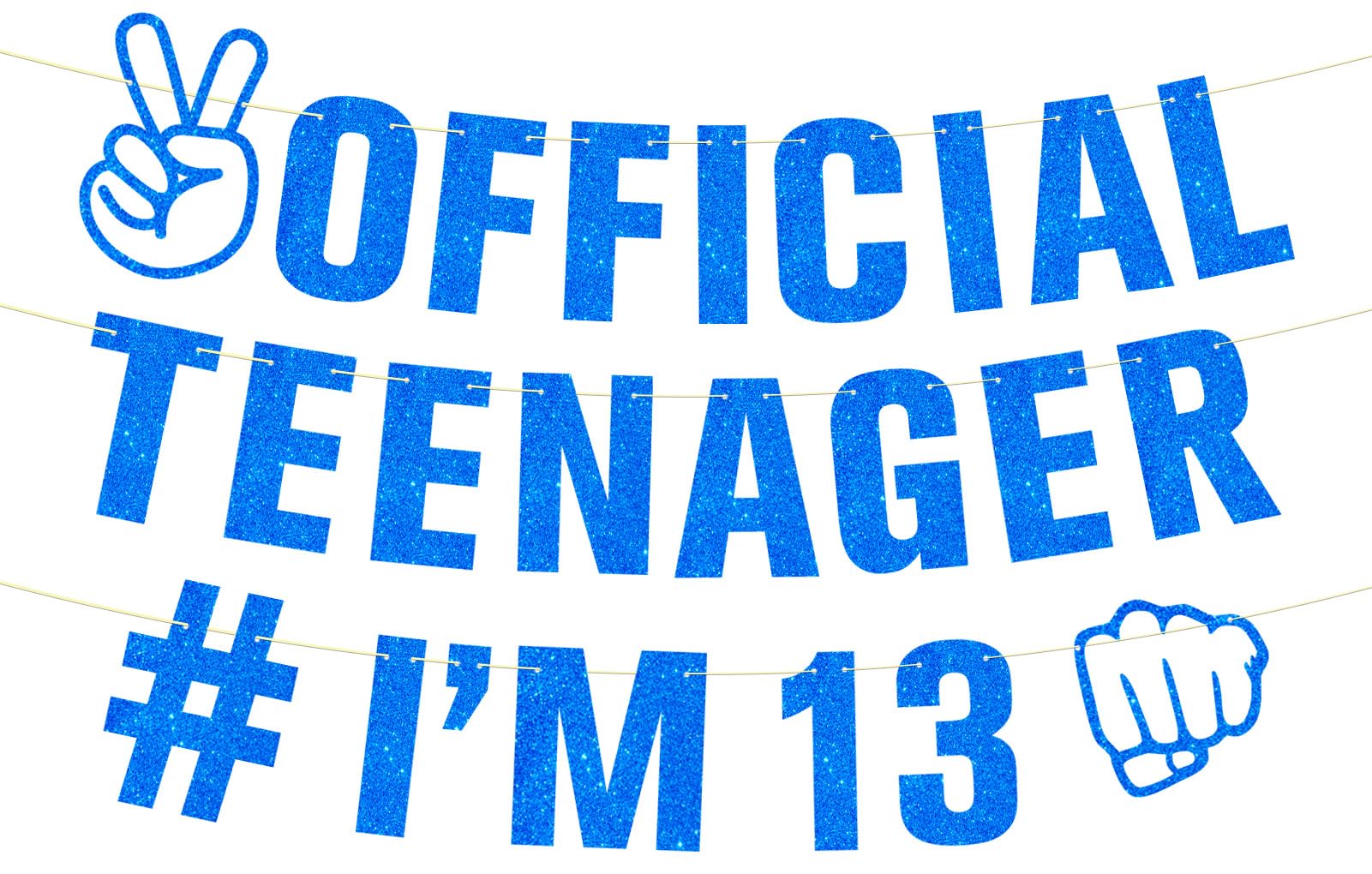 Ushinemi Glitter 13th Birthday Decorations Blue Official Teenager I’m 13 Banner for Boys, Cheers to 13 Years Happy 13th Birthday Party Supplies