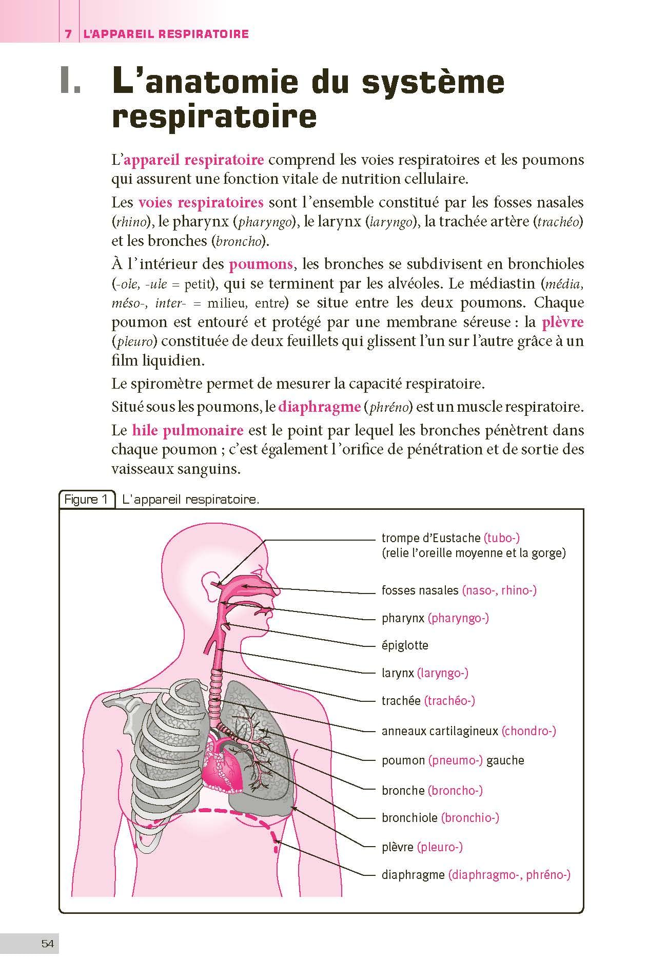 Terminologie médicale et physiopathologie - Ouvrage de référence