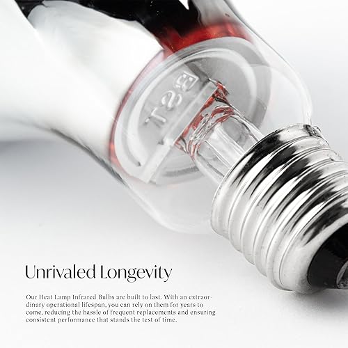 Miniatura 3 de TOPHORT Paquete de 2 bombillas de calor R40250 vatios, lámparas de calor rojas para exteriores, para mascotas, bombilla de inundación para pollos,