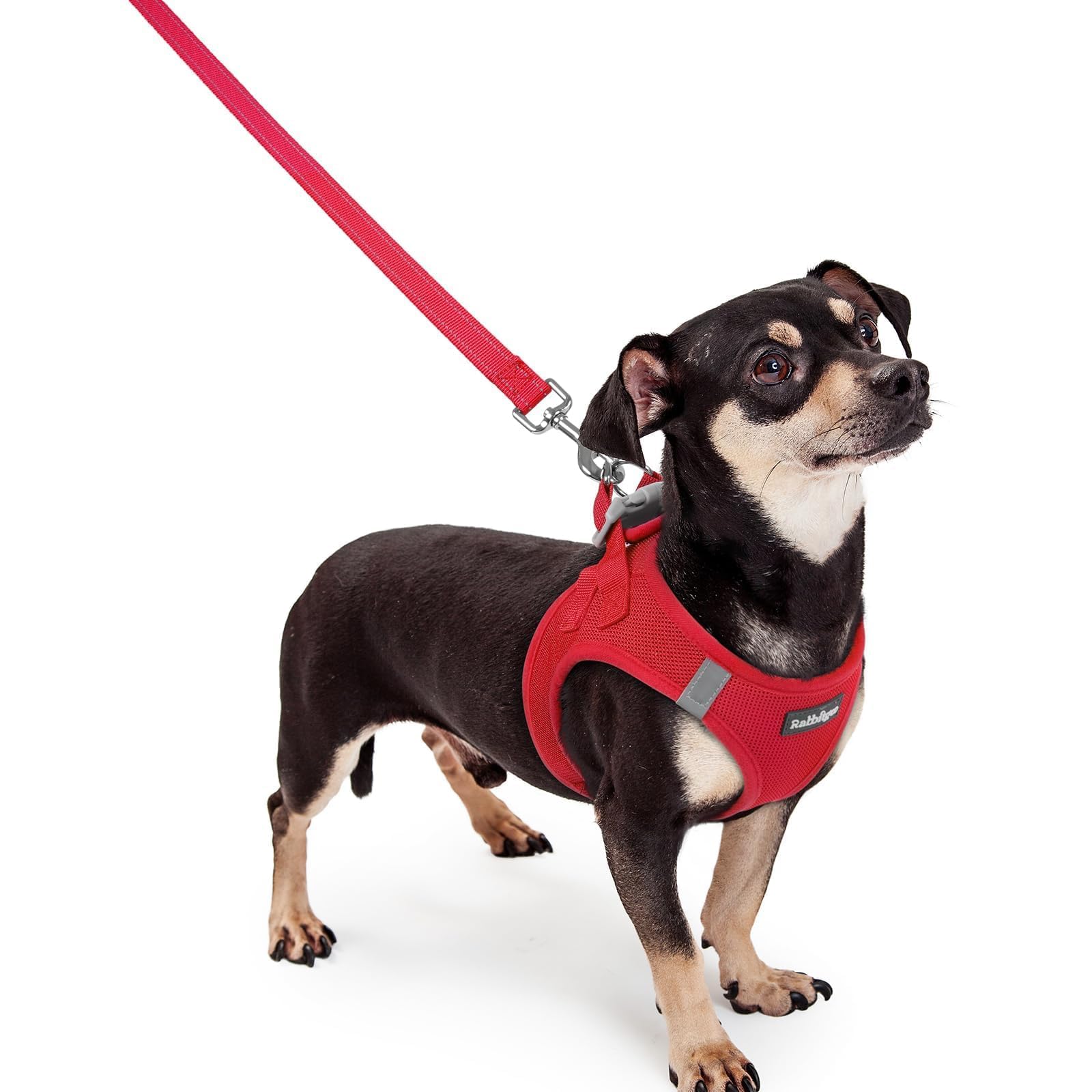 rabbitgoo Dog Harness Small Sized and Leash Set, Step-in Puppy Pet Vest