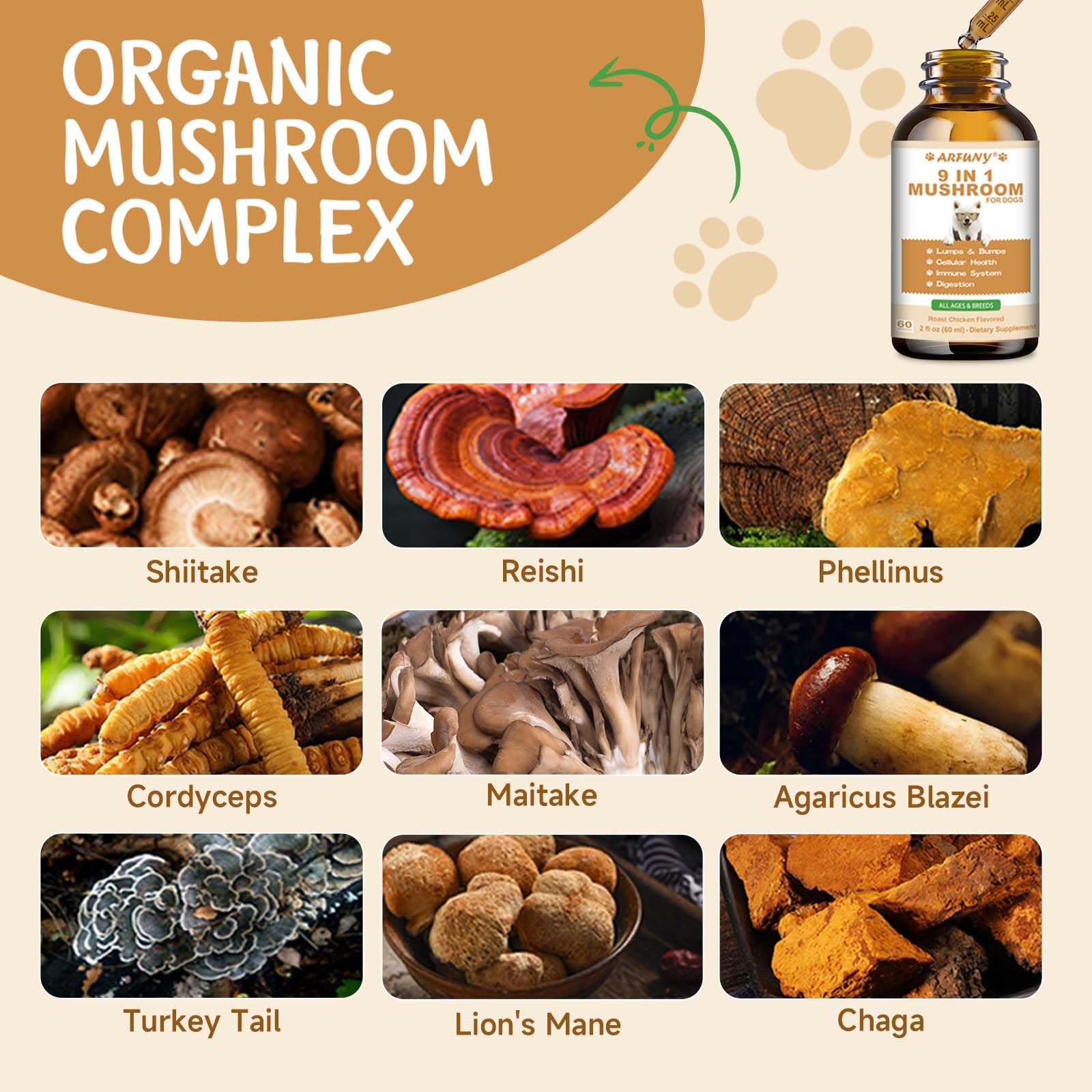 9 in 1 Fungo per cani - Integratore di funghi per cani - Sistema digestivo, pelle, articolazioni, immunità - con 9 funghi - Gusto pollo arrosto, 60ML