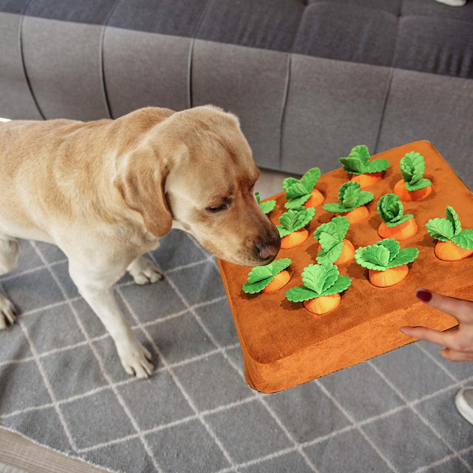 RESOYE Wortel Hond Snuffle Mat, Trek Wortel Pluche Speelgoed Voor Hond Wortel Oogst Speelgoed Hond Kauw Speelgoed Voor Huisdier Interactieve Training En Stress Relief