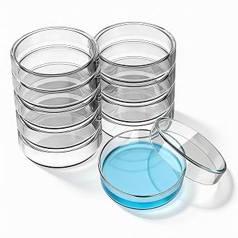 Glass Petri Dishes with Lids, 10 Pcs Transparent Autoclavable Petri Dish Suitable for Laboratory School Scientific Experiments, 90mm   20mm