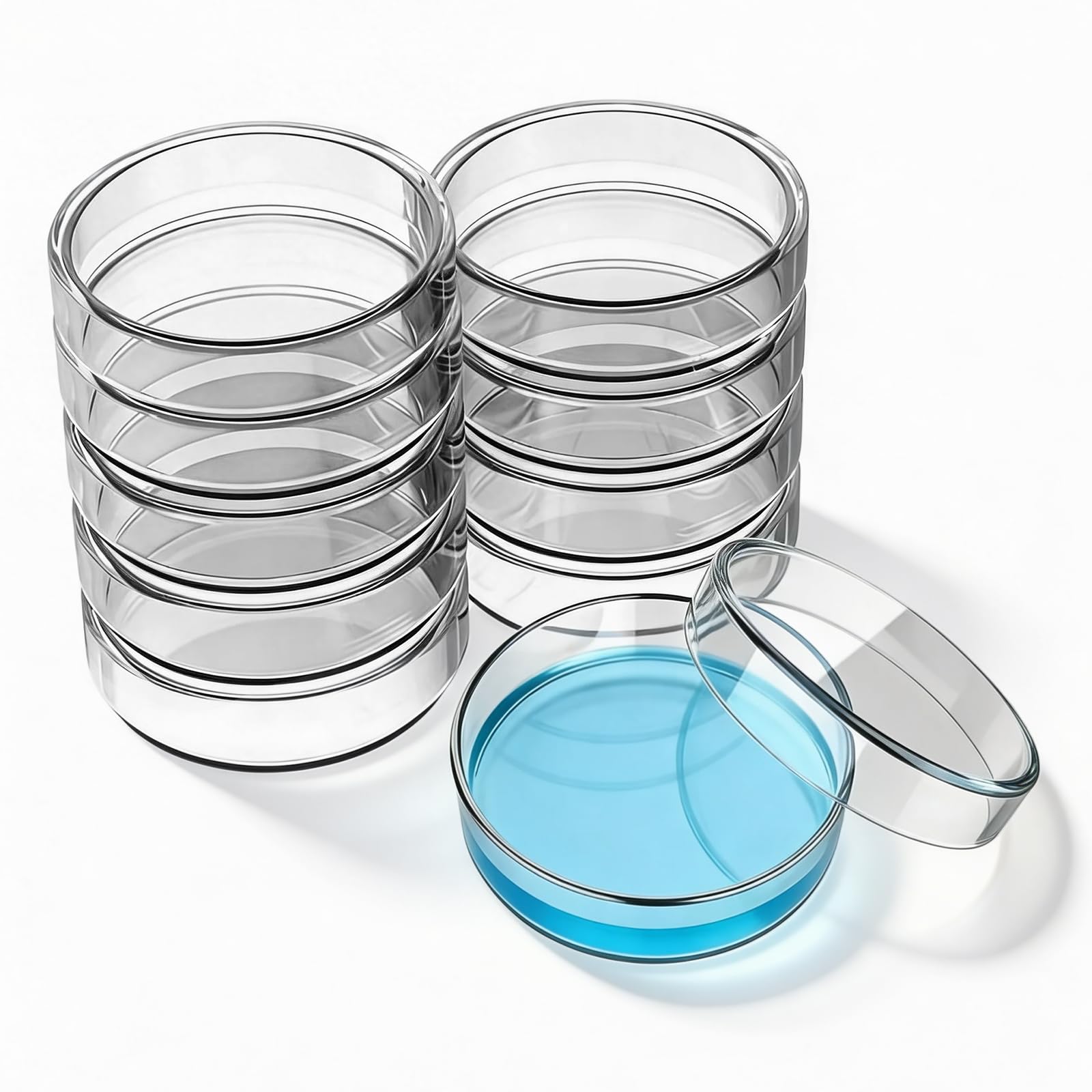 Piastre di Petri in vetro con coperchi, 10 pezzi, trasparenti, autoclavabili, adatte per esperimenti scientifici scolastici di laboratorio, 90 mm × 20 mm