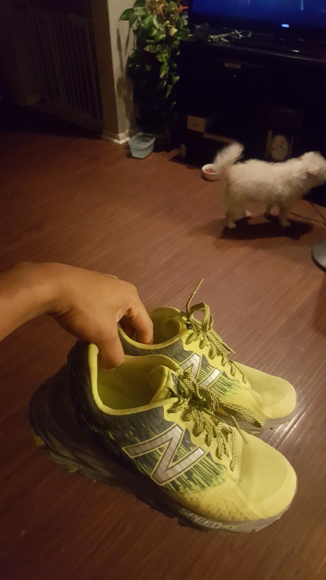 New Balance Men's MT690v2 Responsive Trail Running Shoe