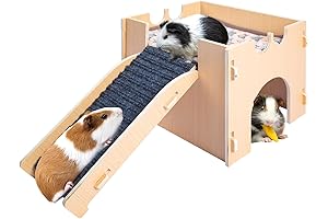 Guinea Pig Hideout: A Royal Castle for Your Precious Pets