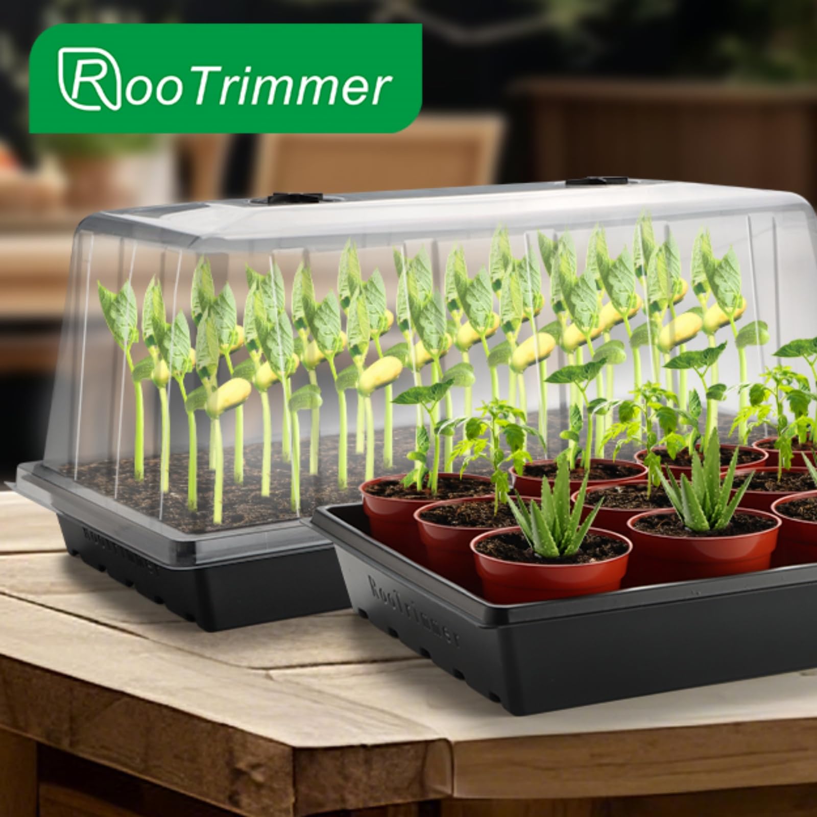 1020 Pflanzschale mit hoher 18,5 cm Kuppel, 5er-Pack, extra große Samen-Starterschale mit Feuchtigkeitskuppeln, robuste 1020 Tabletts und Wohnungen mit Deckel, Samenkeimung, Mini-Gewächshaus, kein