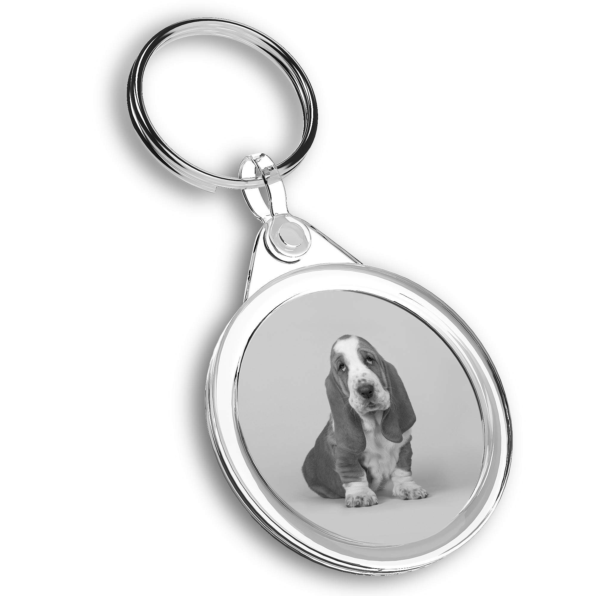 Destination Vinyl Ltd 1 x Photo Keyring - Basset Hound Puppy Dog |Keychain|Keyring|Charm| #36892