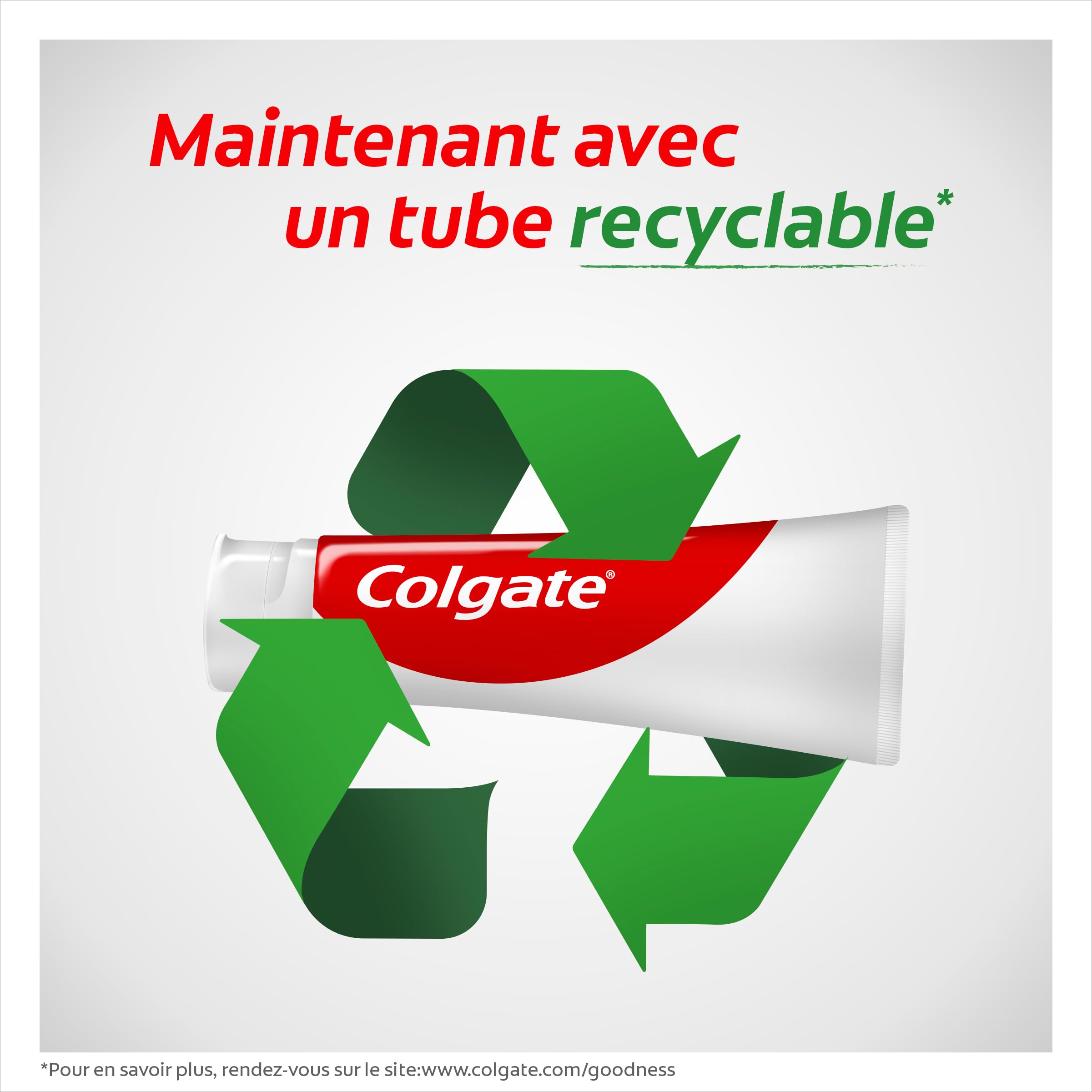 Colgate - Dentifricio Clorofilo Freschezza intensa - 96% di ingredienti di origine naturale - 24 x 75 ml