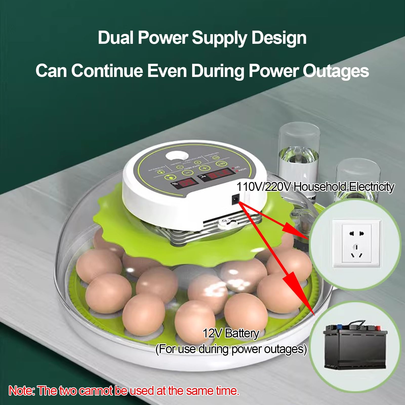Incubadora de Huevos con Volteo Automático, Control de Humedad, Sistema de Recarga de Agua y Ovoscopio; Apta para Huevos de Gallina, Pato, Ganso, Codorniz y Paloma(12 Eggs)