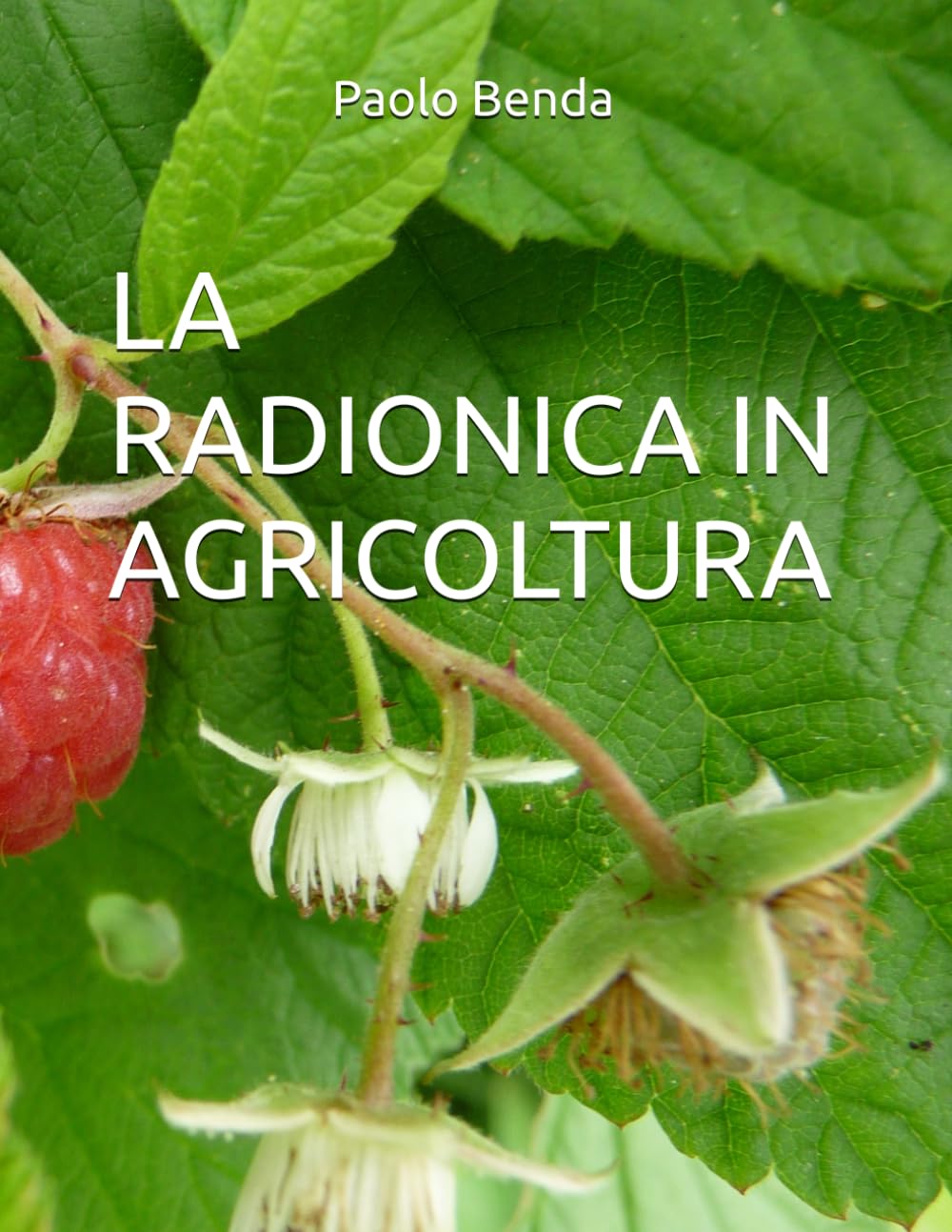 LA RADIONICA IN AGRICOLTURA