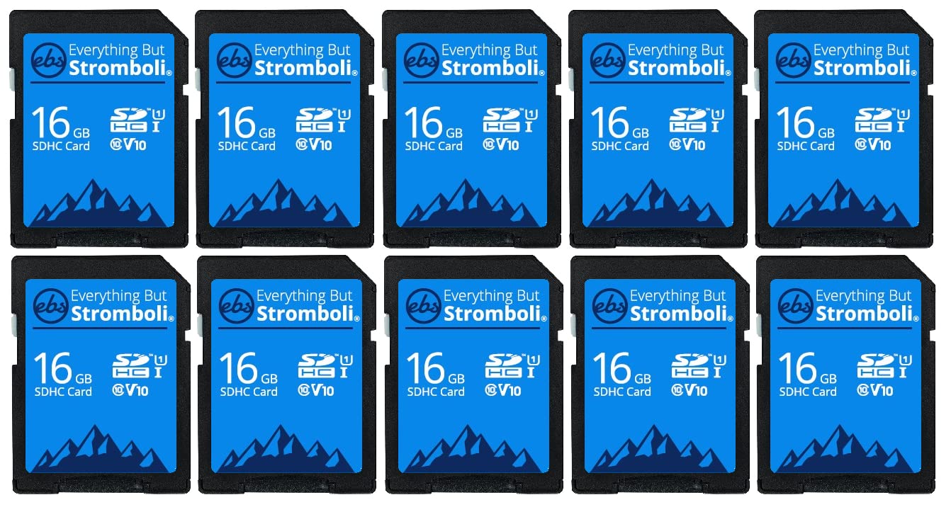 Everything But Stromboli Lot de 10 cartes mémoire SD 16 Go Classe 10 UHS-1 U1 C10 16 Go SDHC pour appareils photo numériques, ordinateurs, caméras de trail
