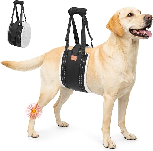 Amazon Pet Product B0DN5NX3VQ — Amazon product photo