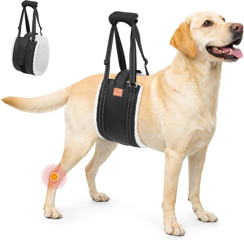 Peitoral de Suporte para Pernas Traseiras de Cães Grandes LOOBANI com Fechos de Velcro