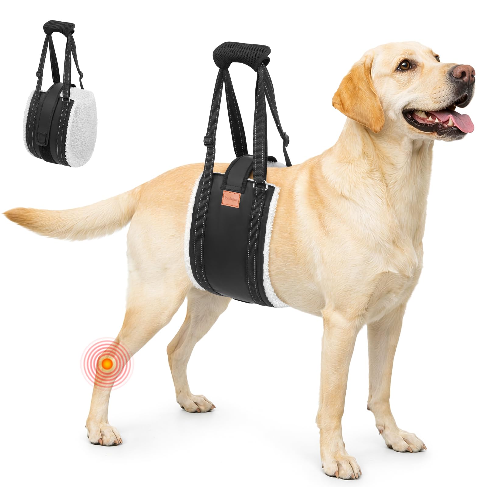 LOOBANI Dog Lift Harness for Back Legs