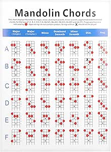 Amazon.com: Practical Mandolin Chord Chart Fretboard Notes Coated Paper ...