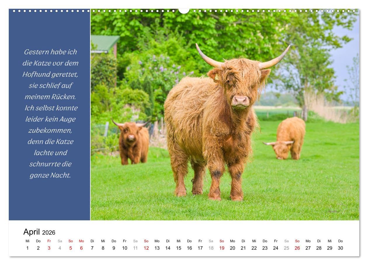 Tiere und feiner Humor (hochwertiger Premium Wandkalender 2026 DIN A2 quer), Kunstdruck in Hochglanz: Tiere in schönsten Bildern mit lustigen Sprüchen. (CALVENDO Spass)