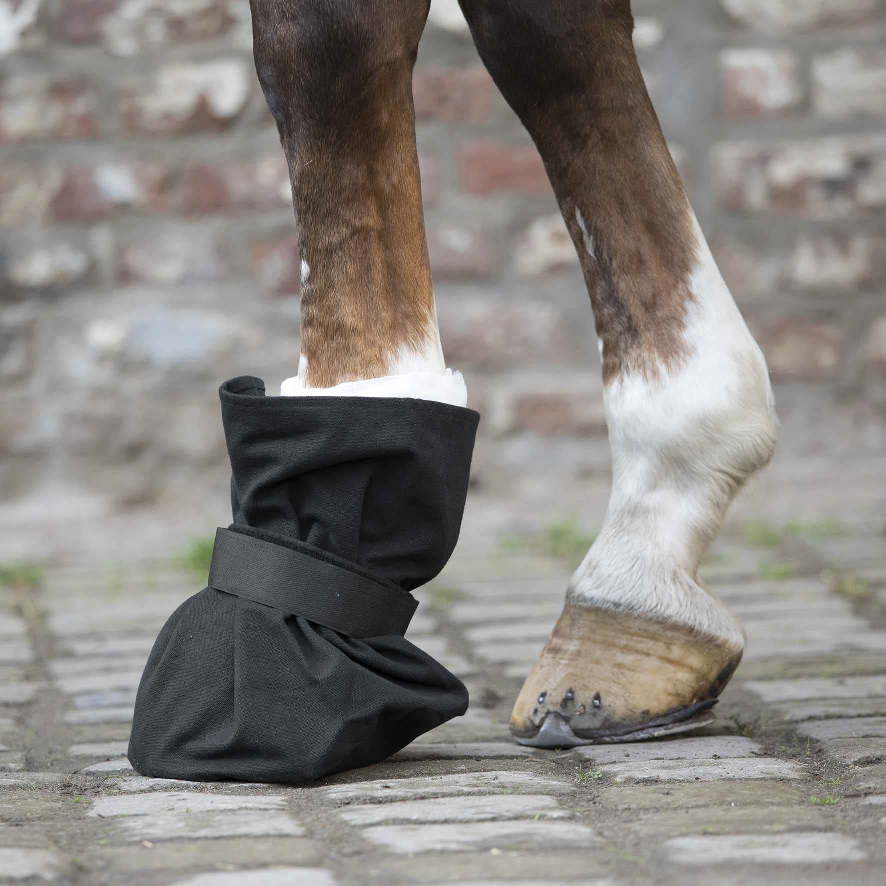 AMKA Protection pour sabots de cheval.