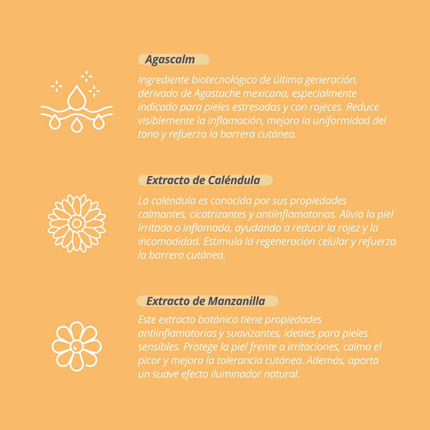 Decolores Crema Facial Natural Calm 50 ml 3 unidades - Pieles Sensibles o Reactivas - Hidrata, Calma y Reduce Rojeces - Con Prebióticos, Probióticos y Ácido Hialurónico - Vegano